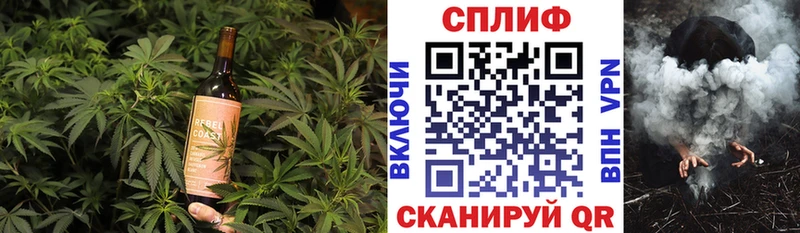 наркошоп  Пустошка  Canna-Cookies конопля 