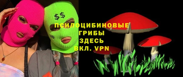 спиды Заводоуковск