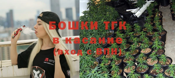 стаф Заволжье