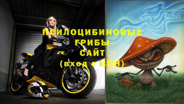 спиды Заводоуковск